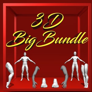 3D Tattoo Paket | Ganzkörper-3D-Modelle und realistische Hände / Füße für Procreate | Einzigartige 3D Modelle für Tätowierer