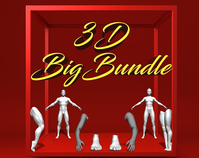 3D Tattoo Simulation Bundle | Full-Body 3D Models & Realistic Hands/Feet for Procreate | Unique 3D Models for Tattoo Artists