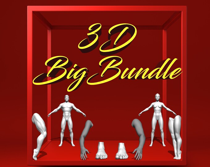 3D Big Bundle | Procreate Tattoo models | 3D woman | Procreate stencil | Procreate stamps| 3D hand