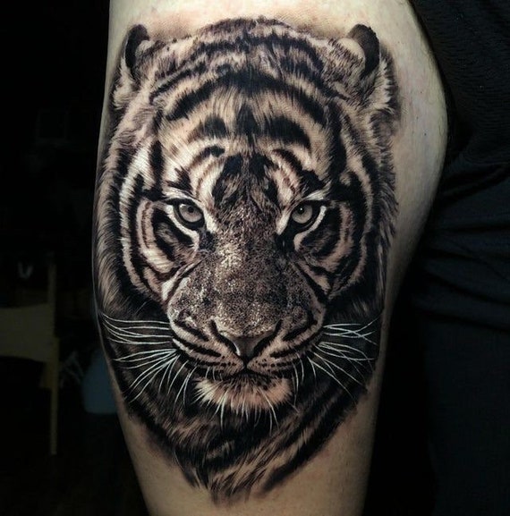 Top more than 145 tiger tattoo stencil super hot