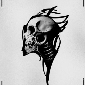 May include: A grayscale illustration of a skull with detailed bone structure and sharp teeth. The skull is surrounded by stylized, dark, wing-like shapes. The text "EXAMPLES YOU CAN FIND IN THIS PACK" is at the top.