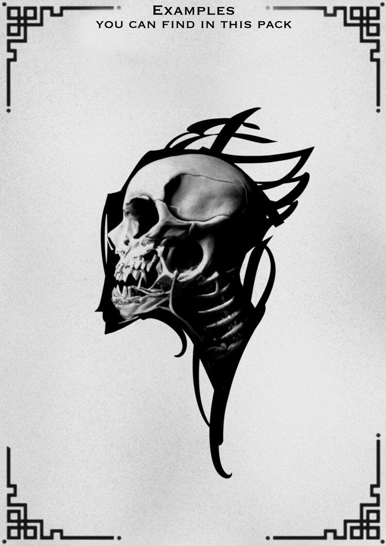 May include: A grayscale illustration of a skull with detailed bone structure and sharp teeth. The skull is surrounded by stylized, dark, wing-like shapes. The text "EXAMPLES YOU CAN FIND IN THIS PACK" is at the top.