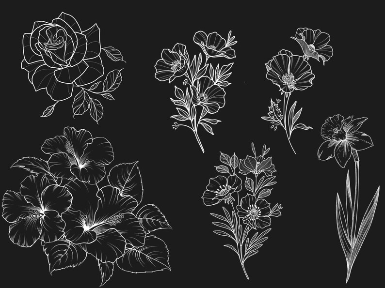 May include: A collection of six white line drawings of various flowers on a black background. The flowers include a rose, a hibiscus, a daffodil, and three different types of poppies.
