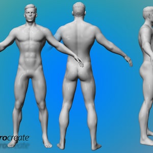 May include: A 3D model of a nude male figure in a standing pose. The figure is shown from the front, back, and side views.