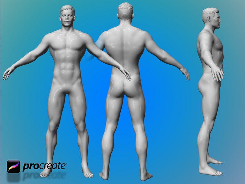 May include: A 3D model of a nude male figure in a standing pose. The figure is shown from the front, back, and side views.