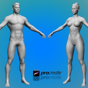 May include: A 3D rendering of a male and female figure in a neutral pose. Both figures are nude and have a gray color.