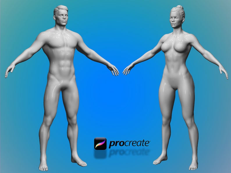 May include: A 3D rendering of a male and female figure in a neutral pose. Both figures are nude and have a gray color.