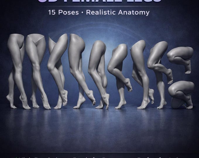 Procreate 3D Female Legs Models | 15 Realistic Tattoo Simulation Leg OBJs | 3D Body Mockup for Tattoo Artists | iPad Procreate Tool