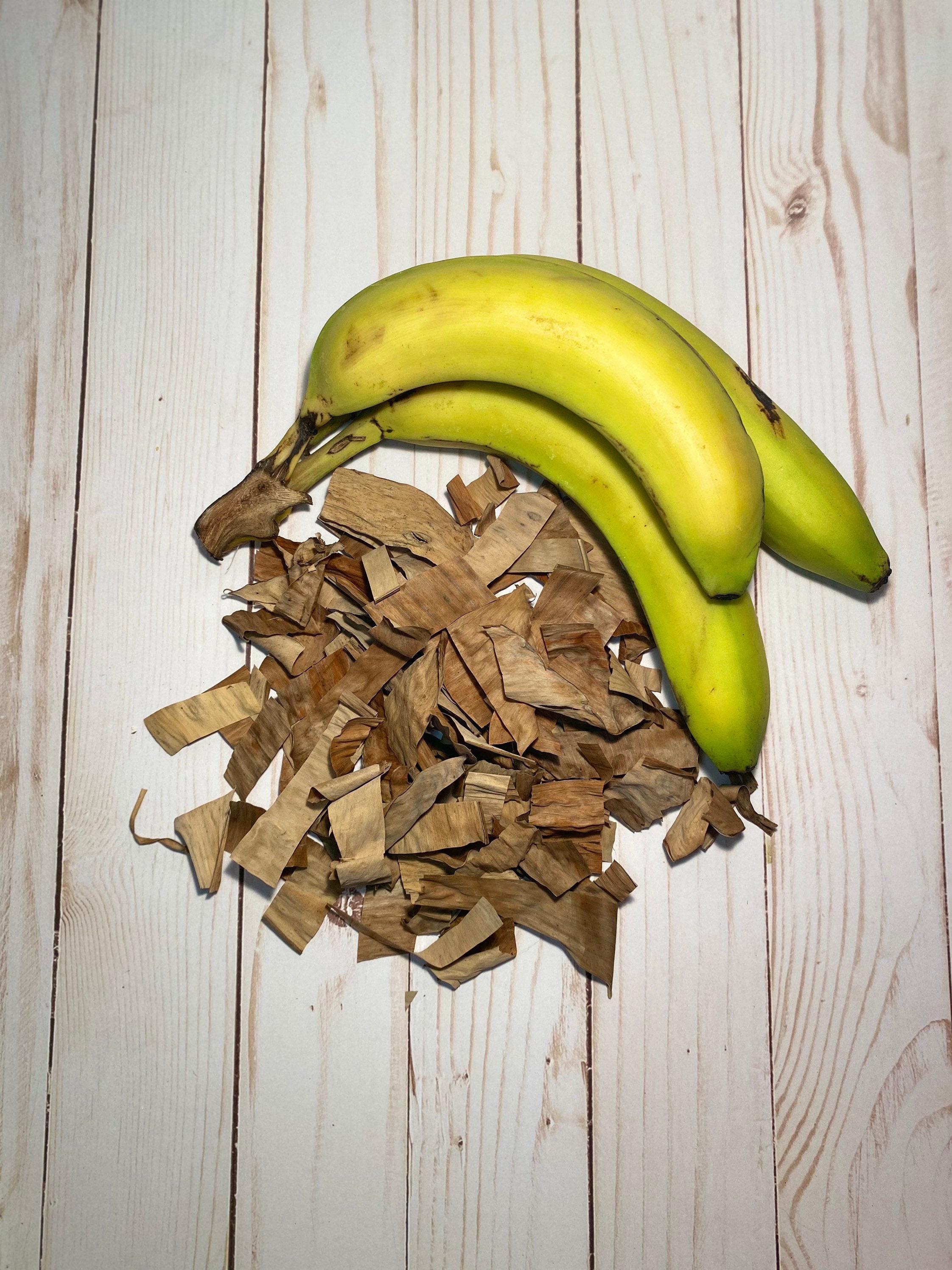 Hojas de plátano secas de corte orgánico en casa Hechizo de Etsy