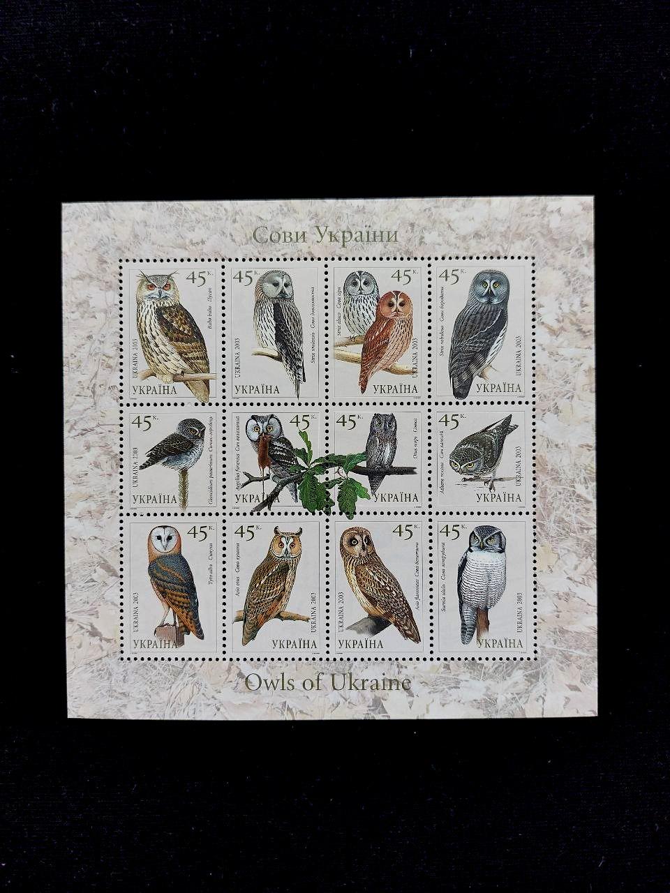 2003 Ukraine Owls Stamps Sheet, Mint MNH Souvenir Block, Wildlife Art