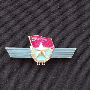 Vintage Military Wings Pin Rare Sports Club Rank Badge Retro Shield Insignia Classic Uniform Brooch Unique History  Gift Collectible Token