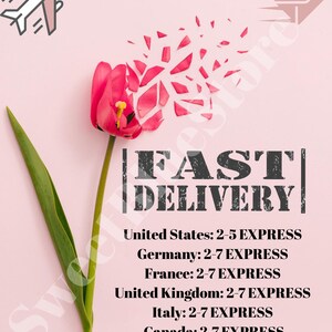 May include: A pink flower with petals that look like they are breaking apart. The text "FAST DELIVERY" is written in black with a white outline. Below the text, there is a list of countries and estimated delivery times: United States: 2-5 EXPRESS, Germany: 2-7 EXPRESS, France: 2-7 EXPRESS, United Kingdom: 2-7 EXPRESS, Italy: 2-7 EXPRESS, Canada: 2-7 EXPRESS.