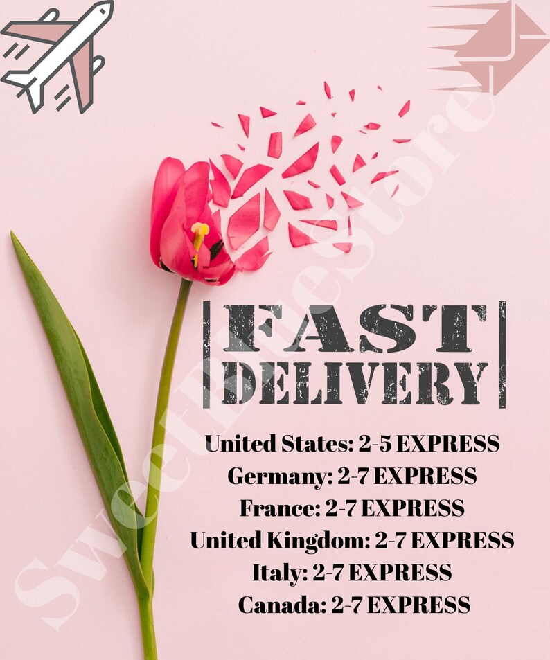 May include: A pink flower with petals that look like they are breaking apart. The text "FAST DELIVERY" is written in black with a white outline. Below the text, there is a list of countries and estimated delivery times: United States: 2-5 EXPRESS, Germany: 2-7 EXPRESS, France: 2-7 EXPRESS, United Kingdom: 2-7 EXPRESS, Italy: 2-7 EXPRESS, Canada: 2-7 EXPRESS.