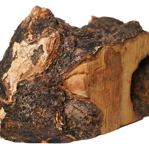 May include: A rough, irregularly shaped piece of wood with a dark brown bark and a lighter brown interior. The wood has a natural, rustic look.