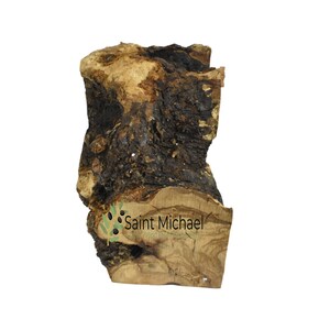 May include: A large piece of rough-hewn olive wood with a dark brown and light brown color. The wood has a natural, rustic look and is perfect for crafting or decorating.