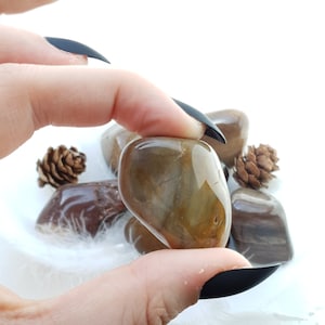 Peut inclure: Un ensemble de pierres polies de forme ovale, dans des tons bruns et beiges. Les pierres ont une surface lisse et brillante. Deux petites pommes de pin sont également visibles.