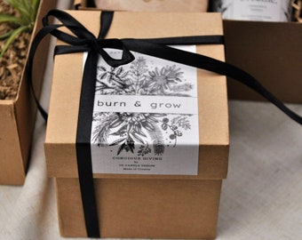 Burn & Grow: Serenity Gift Box - Scented Candle With Airplant And Concrete Vase - Engrave Your Message On A Wooden Lid