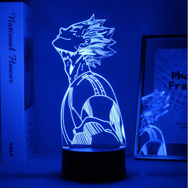 Anime Haikyuu Acryl Led Nachtlicht Shoyo Hinata Figur für | Etsy