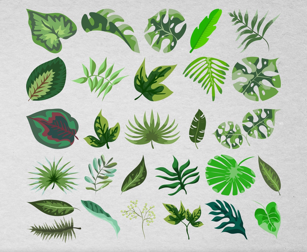Tropical Leaves Svg Bundle, Tropical Leaf Svg, Palm Leaves Svg, Palm