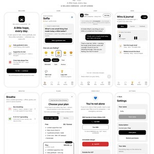 AI Wellness Chatbot App Template, React Native Source Code, iOS Android Web