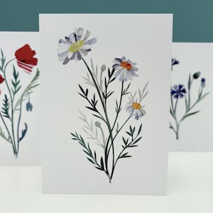 Carte de marguerite/carte d'anniversaire de marguerite, carte d'art botanique avec une marguerite de fleurs sauvages, paquet fait main de cartes et d'enveloppes de marguerites.