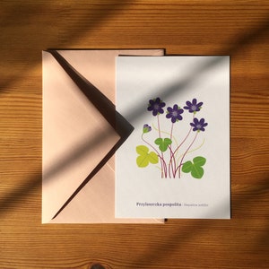 Cartão postal |  Hepática comum