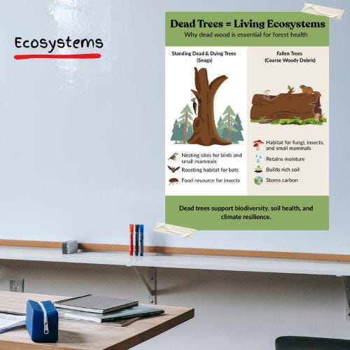 Dead Trees Are Living Ecosystems Poster | Forest Ecology Classroom ...