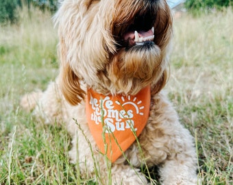 Here comes the sun bandana | Reversibe Bandana | Dog Bandana | Dog Accessories | XS, Small, Medium, Large, XL