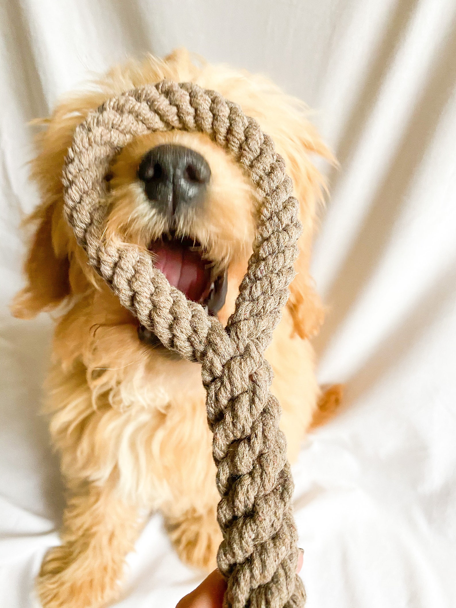 Handmade Macrame Dog Tug Toy Macrame Dog Tug Toy for Etsy