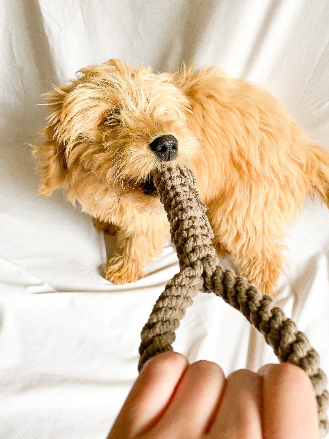 Handmade Macrame Dog Tug Toy Macrame Dog Tug Toy for Etsy