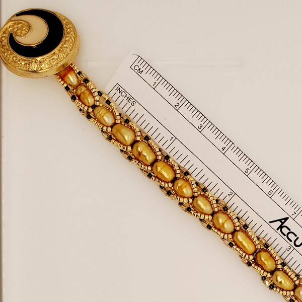 Flat Spiral Shells Etsy