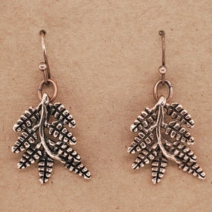 May include: A pair of silver fern earrings with a delicate design. The earrings are made of metal and have a hook closure.