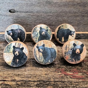 May include: Six round wooden knobs featuring printed illustrations of black bears in forest settings. Each knob displays a different bear pose against a background of trees and script text, with a light wood grain finish visible on the edges.