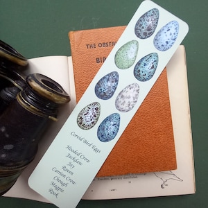 Corvid Eggs Bookmark, marcapáginas de huevos de pájaro, ilustración de cuervos y huevos de cuervos en marcapáginas de tarjetas de la artista Abigail Whelan. urraca, arrendajo