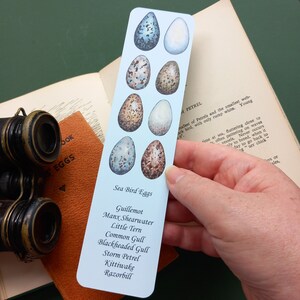 Marcador de huevos de aves marinas, marcador de libros de huevos de aves, ilustración de huevos de aves marinas en un marcador de tarjetas de la artista Abigail Whelan. Basado en arte original.