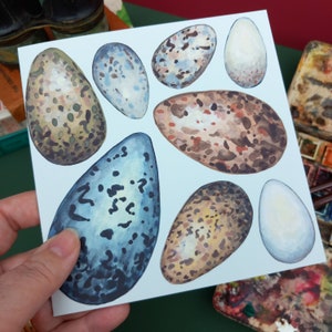 Tarjeta de racimo de huevos de aves marinas, tarjeta de pintura de huevos, ilustraciones de huevos de aves gaviotas, tarjeta de felicitación de huevos de aves, historia natural en blanco, amante de la naturaleza