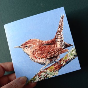 Carte troglodyte, carte oiseau, carte troglodyte mignon, carte de voeux oiseau, carte oiseau vierge, carte ornithologie, troglodyte mignon, carte faune, illustration d'oiseau