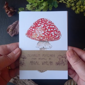 Pilz Postkarten, Pilz Postkarten, Fliegenpilz Postkarten, Naturgeschichte Postkarten, Pilz Drucke, Natur Grußkarten, Mykologie Postkarten