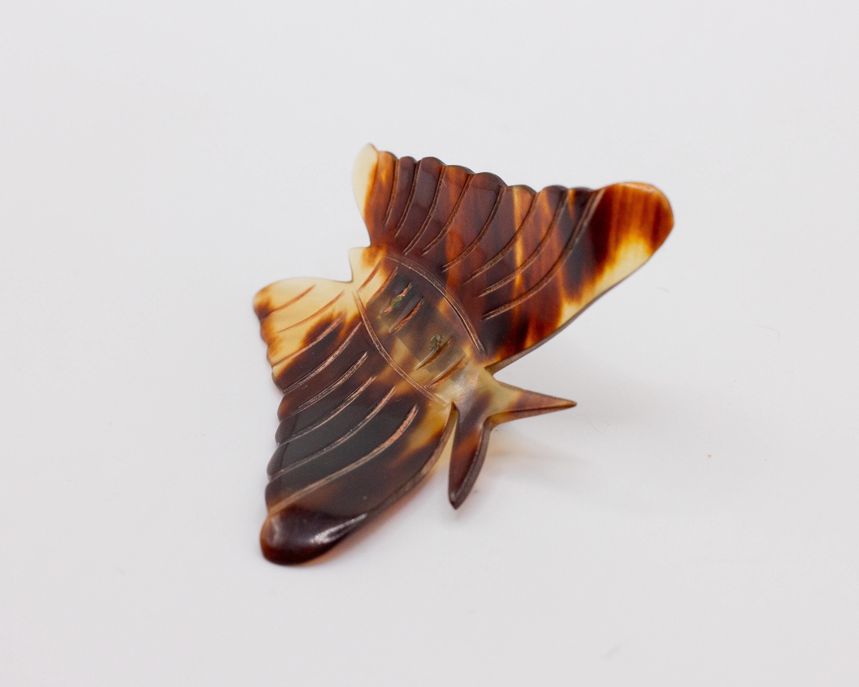 Moth Brooch - Etsy