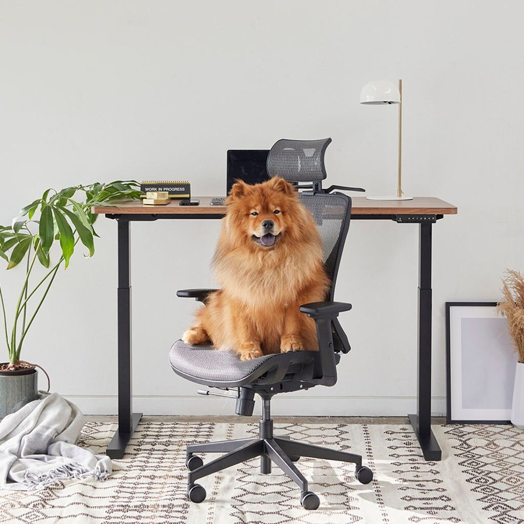 Grey Ergonomic Office Chair Pro With Adjustability for Home Office Desk