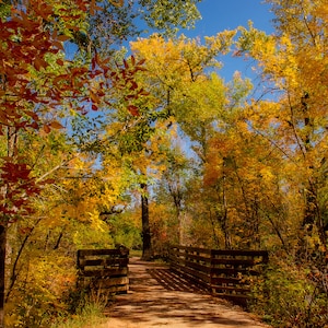 Over the Bridge, Fall Colors, Autumn Photo, Rocky Mountains, Fall Home Decor, Fall Color Prints, Bridge Photo, Fall, Wall Art, Home Decor
