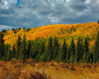 Autumn in the Mountains, Landscape Photo Print, Nature Photography, Autumn Colors Photo Print, Wall Art Print