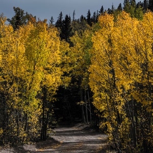Road to Autumn, Fall Photography, Fall Colors Photo, Fall Home Decor, Autumn Landscape Print, Wall Decor, Fall Wall Art, Autumn Nature Print