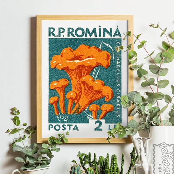 Mushroom Art Print Retro 1960's Romania | Autumn Fall Home Decor Cottagecore | Illustration Poster | Vintage Gallery Wall | Orange Blue