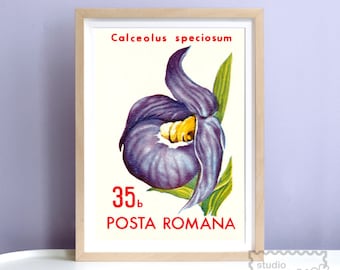 Retro 1960's Romania Flower Art Print | Vintage Gallery Wall | Floral | Purple Lavender