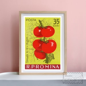 Tomato Art Print | Retro 1960's 60's | Vintage Stamp Illustration Gallery Wall | Fruit Vegetable | Kitchen Foodie Gift Italian | Green Red