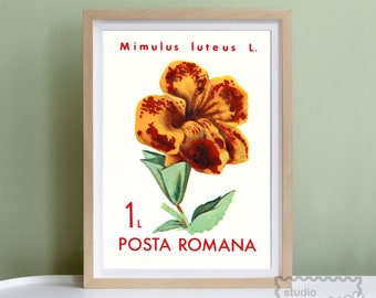 Retro 1960's Romania Flower Art Print | Vintage Gallery Wall | Floral | Red Yellow