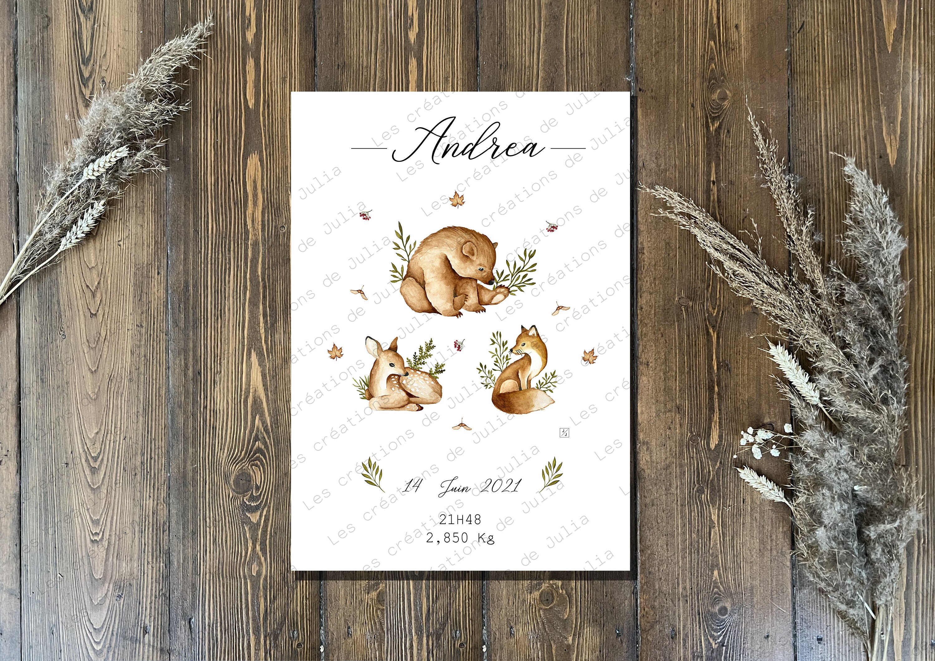 Illustration Naissance Gaïa Personnalisable, Cadeau Bébé, Nouveau-Né, Décoration Enfant, Personnalis