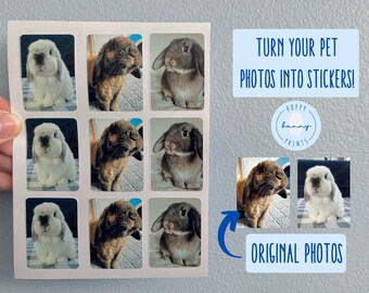 Custom Pet Photo Stickers Sheet (Waterproof/Weatherproof)
