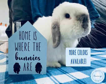 Home Is Where The Bunnies Are House